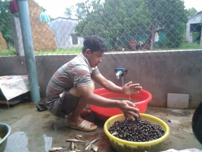 co gang thu tinh nhan tao thi duoc mang thai doi nguoi me chua kip hanh phuc da chet lang khi minh bi ung thu