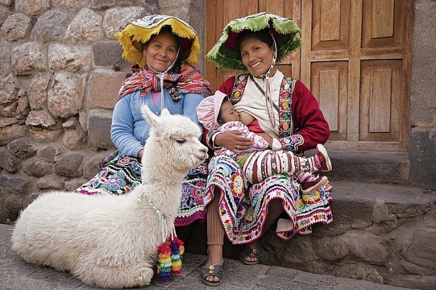 nhung buc anh cho con bu tuyet dep tu khap the gioi