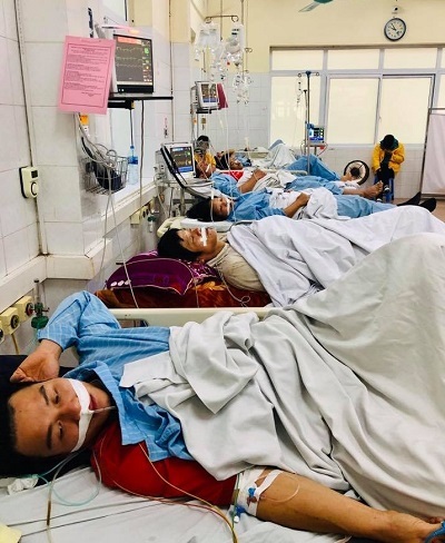 1 người chết, 7 người nguy kịch sau khi ăn trứng cóc: Bộ phận nào của cóc có chứa chất độc 1 người chết, 7 người nguy kịch sau khi ăn trứng cóc: Bộ phận nào của cóc có chứa chất độc