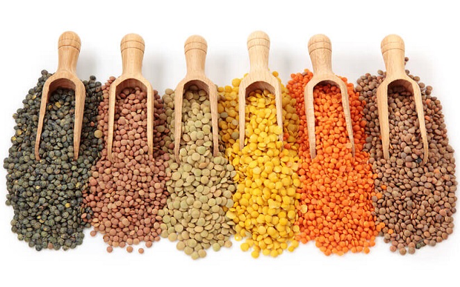 5 loại hạt giàu protein thay thế thịt cho người giảm cân 5 loại hạt giàu protein thay thế thịt cho người giảm cân