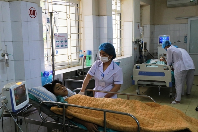 Ăn nhầm nấm độc, 3 em nhỏ tử vong thương tâm