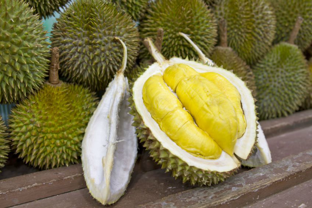 Bà bầu ăn sầu riêng có tốt không Bà bầu ăn sầu riêng có tốt không