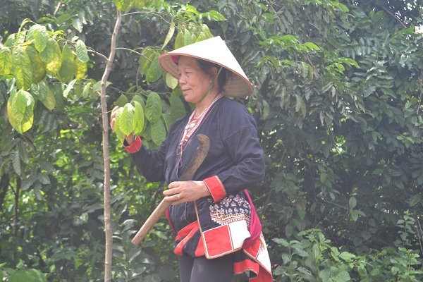 Bai-thuoc-bi-truyen-chua-xuong-khop-cua-nguoi-dao