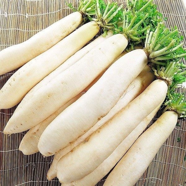 Bai-thuoc-dan-gian-tri-nhiet-mieng-ngay-nang