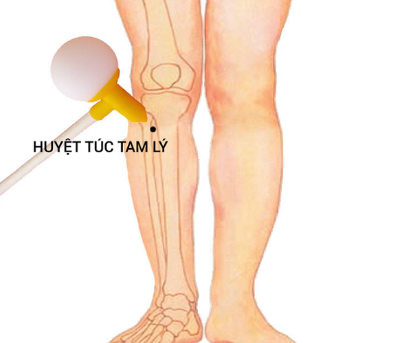 Bam-huyet-dieu-tri-gan-nhiem-mo