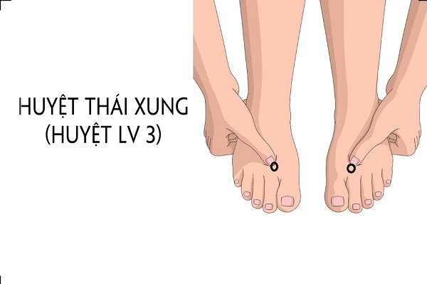 Bam-huyet-dieu-tri-gan-nhiem-mo