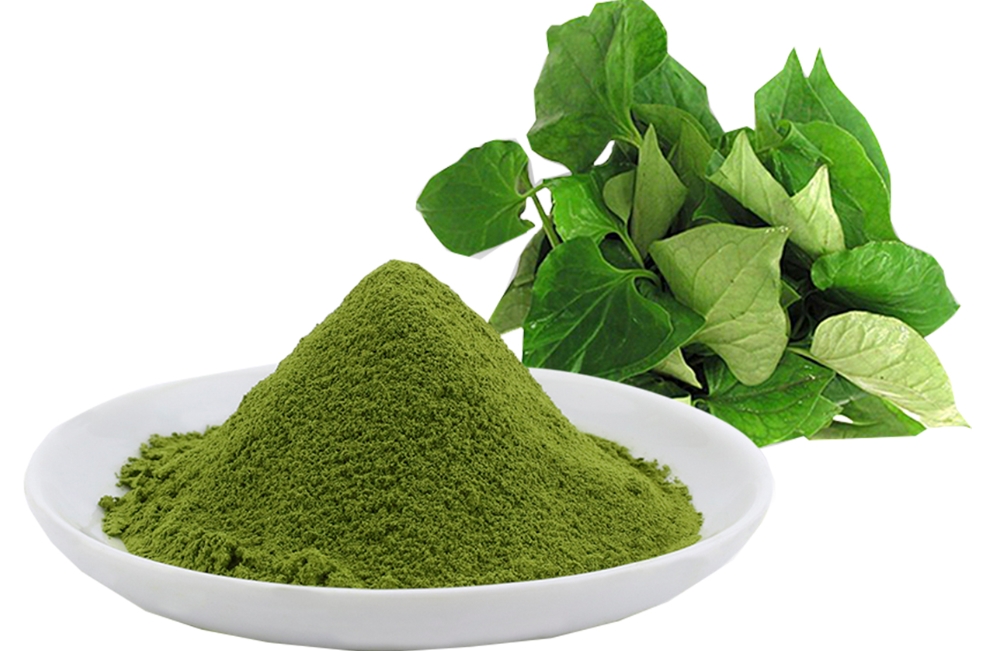 Rau diếp cá chữa bệnh trĩ Cách điều trị bệnh trĩ bằng rau diếp cá nhiều nguời không biết