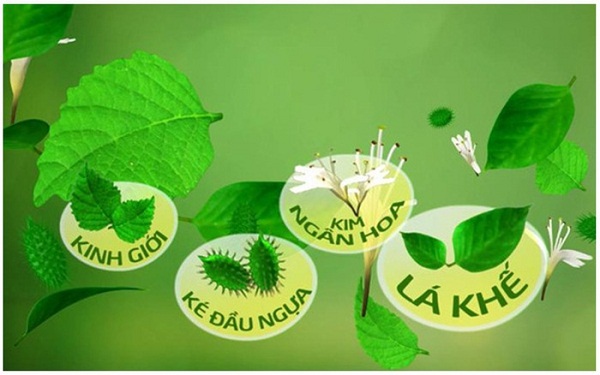 Chữa dị ứng hiệu quả bằng những cây thuốc Nam quanh nhà Chữa dị ứng hiệu quả bằng những cây thuốc Nam quanh nhà