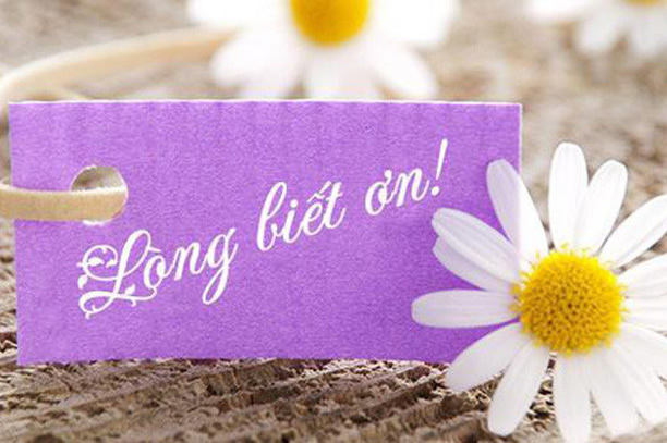 Gợi ý cách viết đoạn văn nghị luận 200 chữ về lòng biết ơn