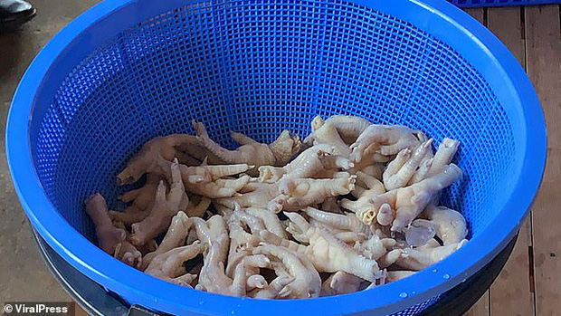 Hãi hùng cảnh công nhân dùng miệng rút xương chân gà, mỗi ngày xuất nửa tạ đi toàn chân Á Hãi hùng cảnh công nhân dùng miệng rút xương chân gà, mỗi ngày xuất nửa tạ đi toàn chân Á