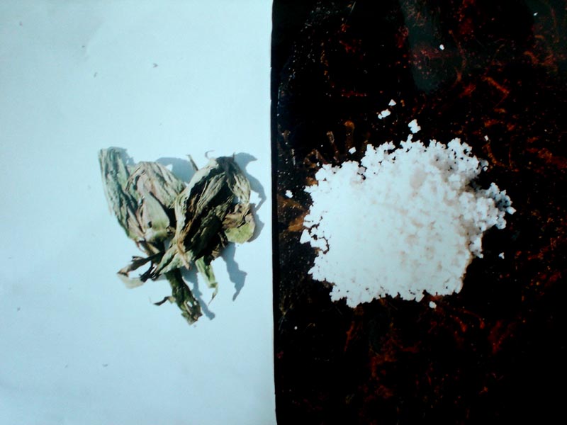 Những câu chuyện hư thực về bùa ngải xứ Mường [Kỳ 1]: Hà hơi vào que củi, yêu đến mấy cũng bỏ!