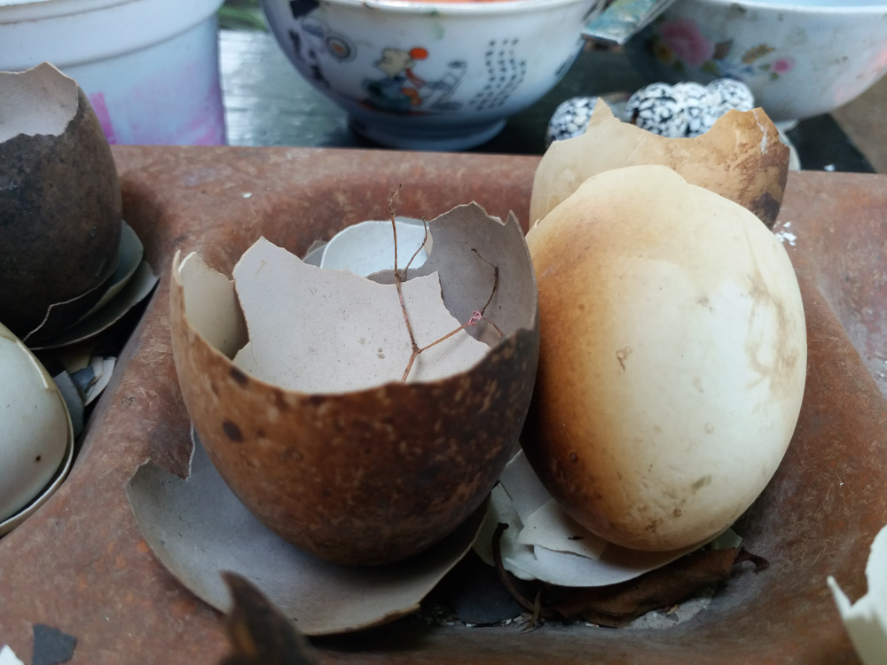 Lạ mắt nghề 'điêu khắc' vỏ trứng thành tác, biến vật dụng thông thường thành tác phẩm nghệ thuật
