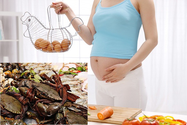 Mang thai tháng thứ 3 được ăn hải sản không Mang thai tháng thứ 3 được ăn hải sản không