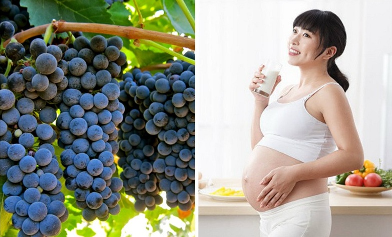 Mang thai tháng thứ 3 được ăn nho, ăn nhiều nho có sao không