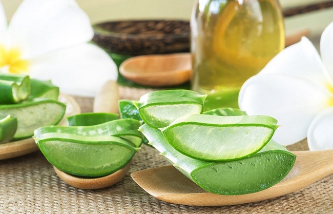 Mang thai tháng thứ 9 được ăn nha đam không Mang thai tháng thứ 9 được ăn nha đam không