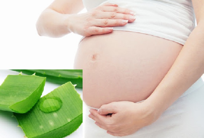 Mang thai tháng thứ 9 được ăn nha đam không Mang thai tháng thứ 9 được ăn nha đam không