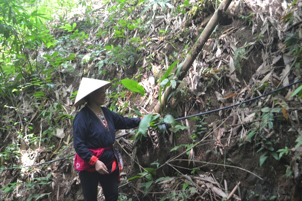Phuong-thuoc-cham-dut-hoan-toan-viem-da-khop-man-tinh-cua-ba-lang-nguoi-Dao Phuong-thuoc-cham-dut-hoan-toan-viem-da-khop-man-tinh-cua-ba-lang-nguoi-Dao