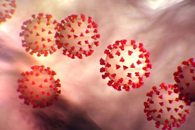 Thêm bằng chứng virus corona lây qua đường tiêu chảy, có thể là mối nguy cho các bệnh viện Thêm bằng chứng virus corona lây qua đường tiêu chảy, có thể là mối nguy cho các bệnh viện
