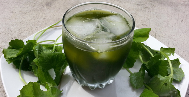 Trà xanh, rau má và những loại thức uống giải nhiệt, chống say nắng hiệu quả