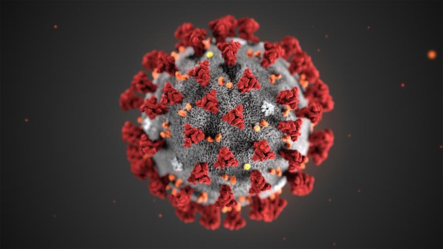 Vì sao nam giới dễ mắc virus corona hơn nữ giới? 
