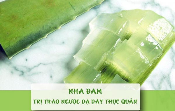 Vi-thuoc-dong-y-chua-benh-trao-nguoc-da-day-hieu-qua