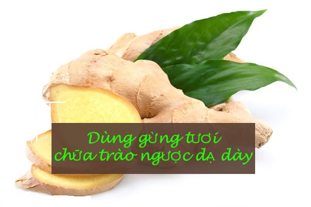 Vi-thuoc-dong-y-chua-benh-trao-nguoc-da-day-hieu-qua
