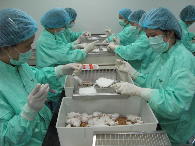 Việt Nam sẽ thử nghiệm vắc xin COVID-19 trên chuột đợt 2 vào đầu tháng 6