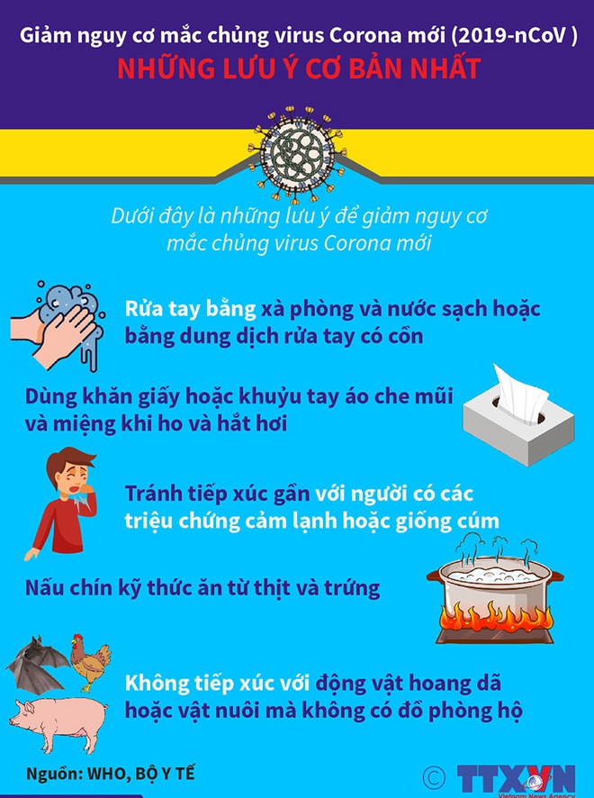 Virus Corona có phải là virus Sars trước đây Virus Corona có phải là virus Sars trước đây
