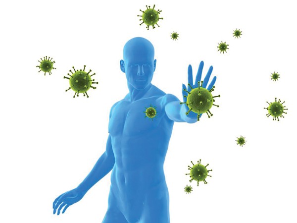 Virus SARS-CoV-2 tấn công cơ thể như thế nào và cách hệ miến dịch chống lại các virus gây bệnh