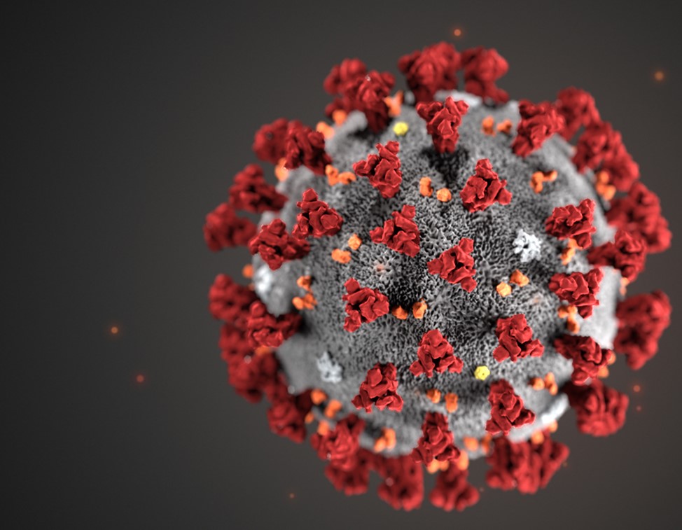 Virus SARS-CoV-2 tấn công cơ thể như thế nào và cách hệ miến dịch chống lại các virus gây bệnh