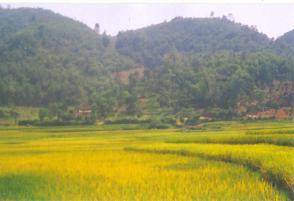 Những câu chuyện hư thực về bùa ngải xứ Mường [Kỳ 1]: Hà hơi vào que củi, yêu đến mấy cũng bỏ!