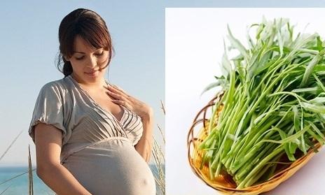 Bà bầu ăn rau muống tốt không? Bà bầu ăn rau muống tốt không?