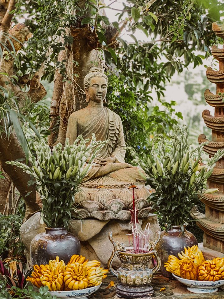 Cẩm nang thăm quan chùa Địa Tạng Phi Lai Tự ở Hà Nam