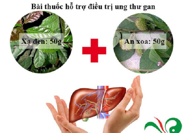 cay-thuoc-dieu-tri-ung-thu-gan