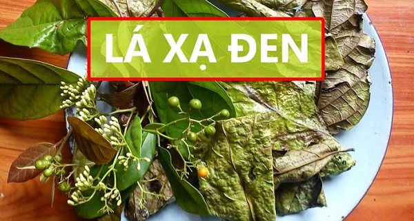 cay-thuoc-dieu-tri-ung-thu-gan