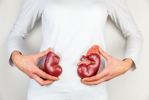 Chế độ ăn cho người suy thận vừa bổ sung dinh dưỡng lại tăng cường hiệu quả điều trị Chế độ ăn cho người suy thận vừa bổ sung dinh dưỡng lại tăng cường hiệu quả điều trị