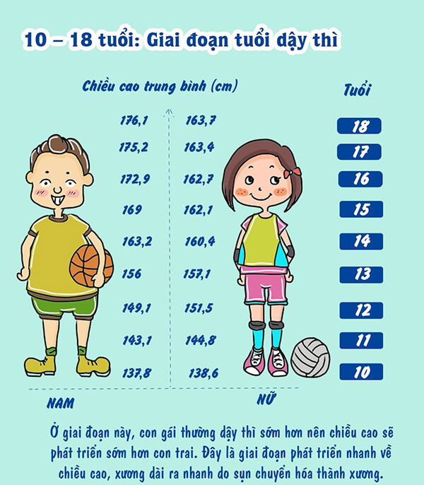 Chỉ số chiều cao cân nặng cho nữ tuổi 15 Chỉ số chiều cao cân nặng cho nữ tuổi 15