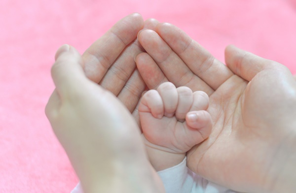 Bị chó cắn có được hưởng bảo hiểm thân thể không?