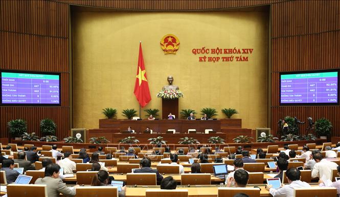 Tiến hành quy trình bầu Chủ nhiệm Ủy ban Pháp luật của Quốc hội