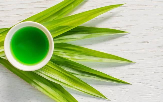 Giải mã công dụng làm đẹp của lá dứa, bạn đừng bỏ phí