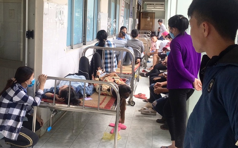 Vụ hàng trăm công nhân Bình Dương ngộ độc thuốc diệt mối: Thuốc diệt côn trùng độc hại như thế nào? Vụ hàng trăm công nhân Bình Dương ngộ độc thuốc diệt mối: Thuốc diệt côn trùng độc hại như thế nào?