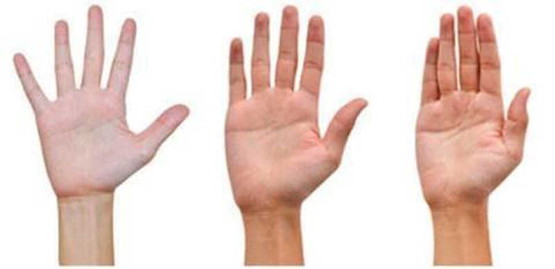Đoán tình duyên qua đặc điểm bàn tay Đoán tình duyên qua đặc điểm bàn tay