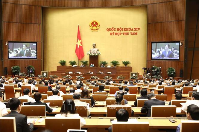 Ngày 21/11, Quốc hội thảo luận hai dự án Luật 