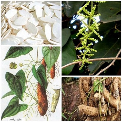 Bai-thuoc-tri-tieu-duong-theo-Dong-Y