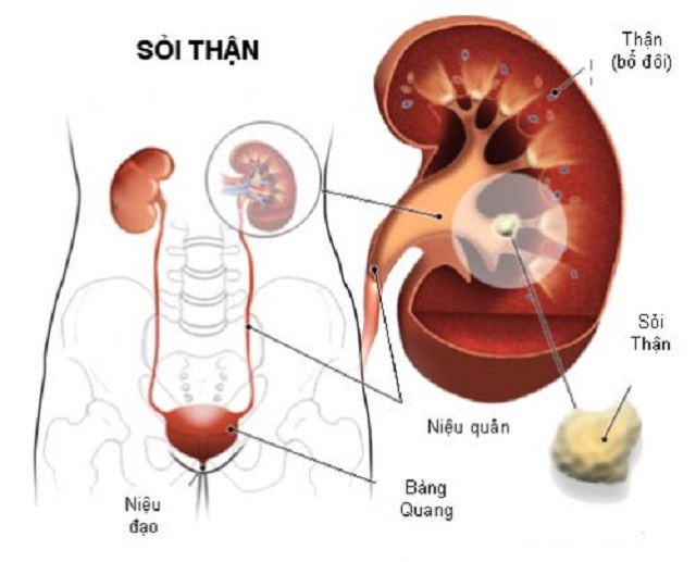 Bam-huyet-chua-benh-soi-than