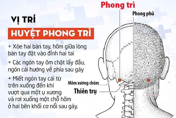 Bam-huyet-chua-benh
