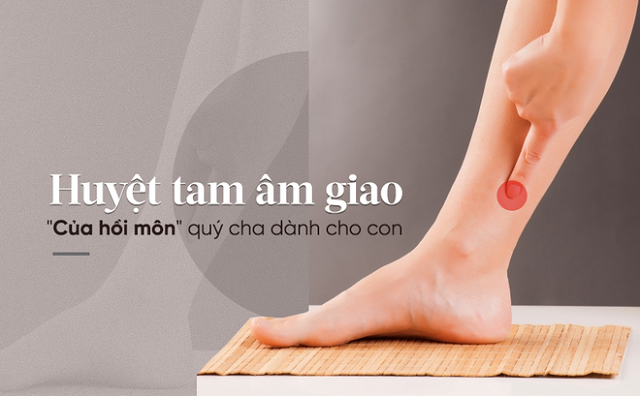 Bam-huyet-dieu-tri-mat-ngu