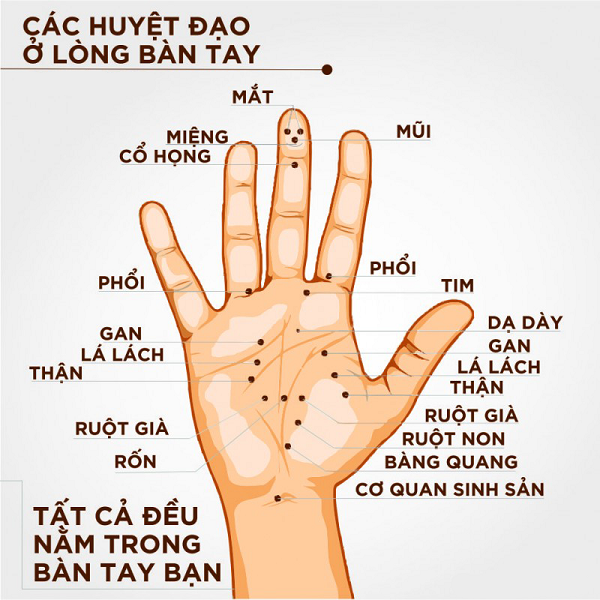 Bam-huyet-tren-ban-tay-giup-chua-bach-benh