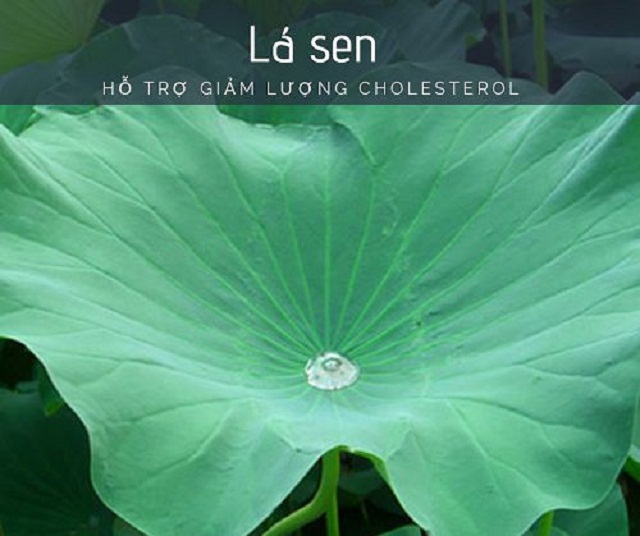 Cac-loai-nuoc-uong-giam-mo-mau