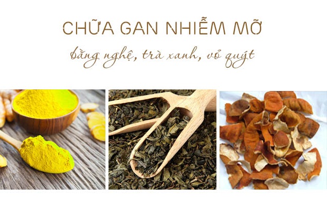Cay-thuoc-nam-tri-benh-gan-nhiem-mo Cay-thuoc-nam-tri-benh-gan-nhiem-mo
